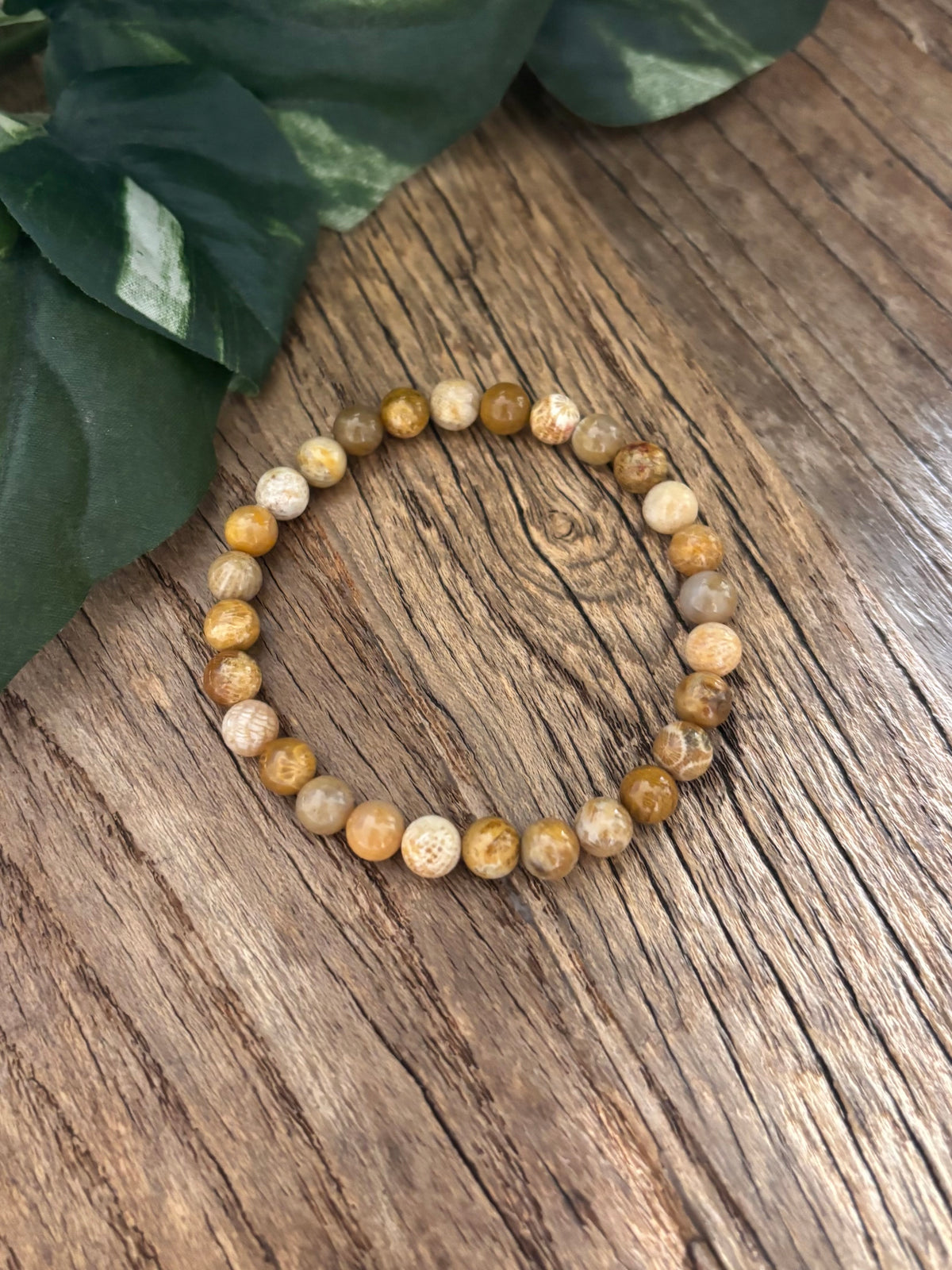 Fossil Coral Bracelet